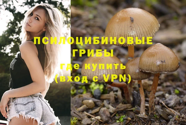 кокаин премиум Алексеевка