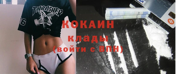 не бодяженный Алексин
