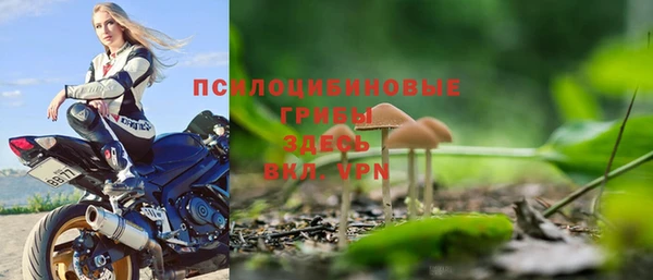 не бодяженный Алексин