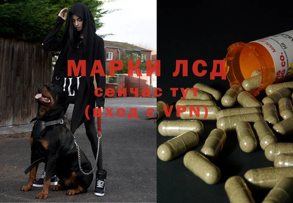 мяу мяу мука Алзамай