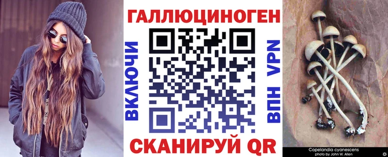 закладка  Каргополь  blacksprut ссылка  Псилоцибиновые грибы Cubensis 